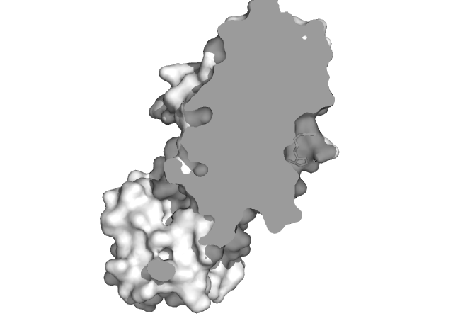 Draw_cross_section_diagram